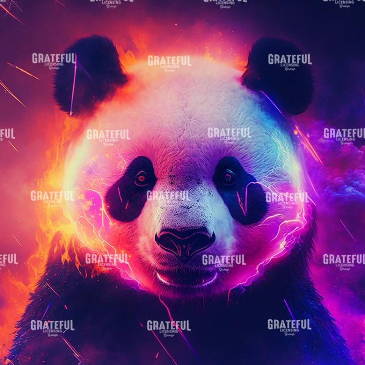 Panda Head Shot