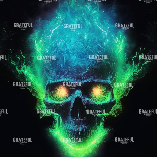 Skull (2)