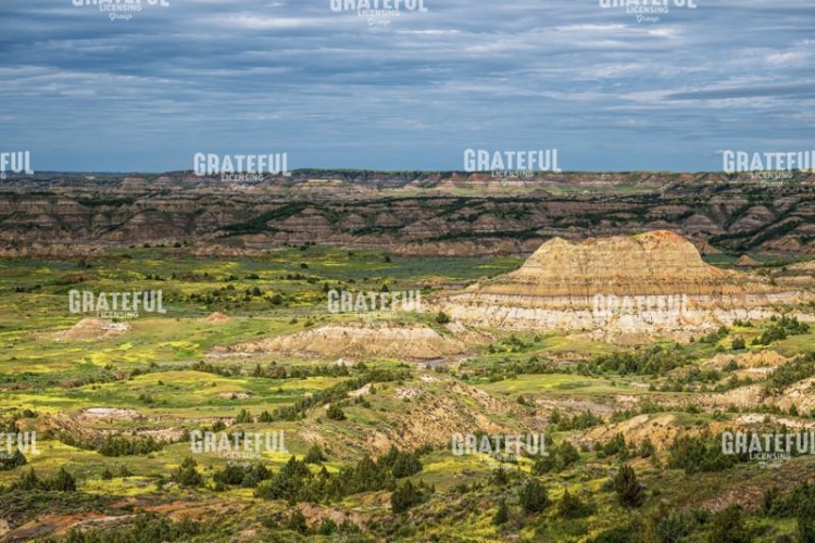 Spotlight on the Painted Canyon