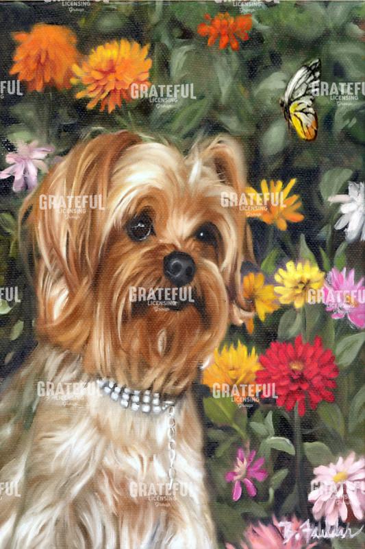 Susan's Dog with Butterfly