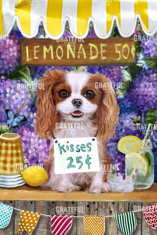 Lemonade Stand Cavalier