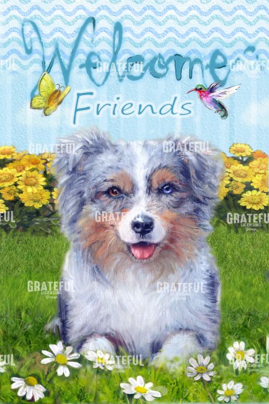 Australian Shepherd Welcome Friends