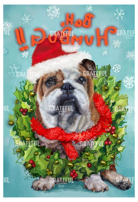 Bulldog Humbug