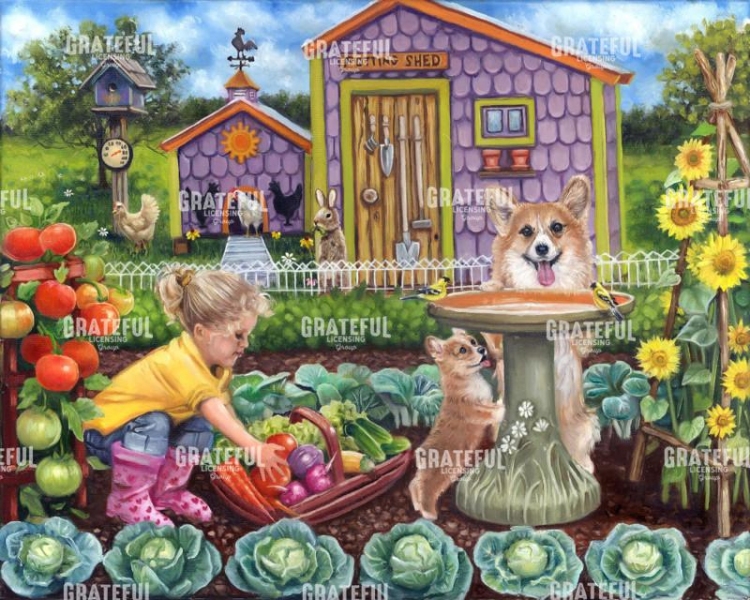 Harvest Time