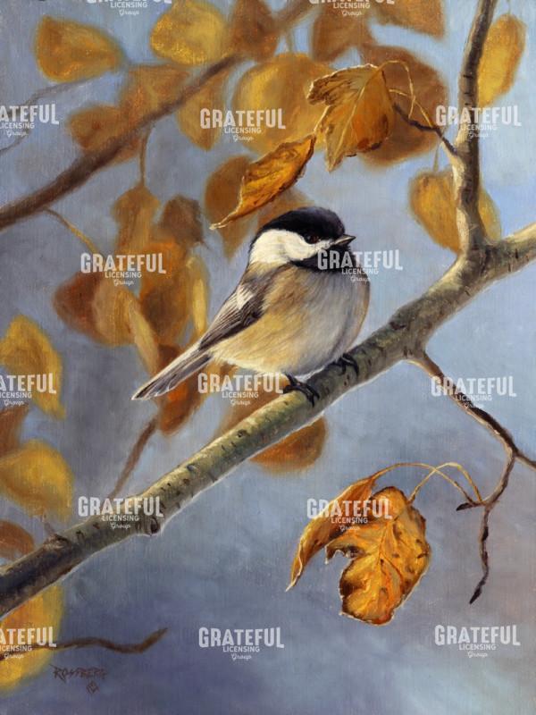 Aspen Perch Chickadee