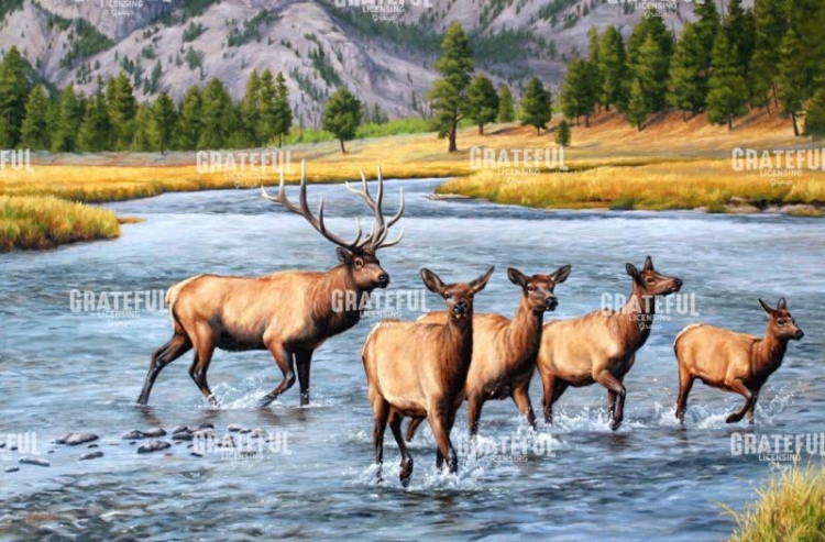 Madison River Roundup