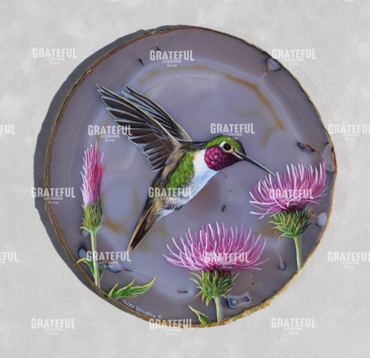 Hummingbird