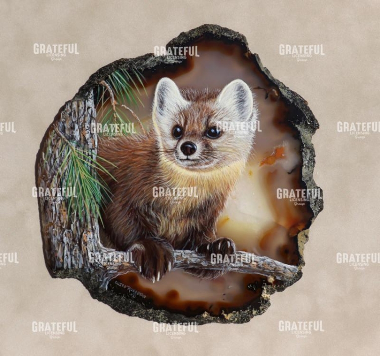 Pine Marten