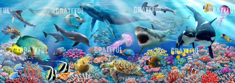 Underwater Reef