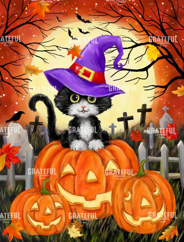 Halloween Pumpkin and Black Cat