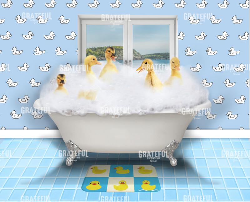 Ducks bath time