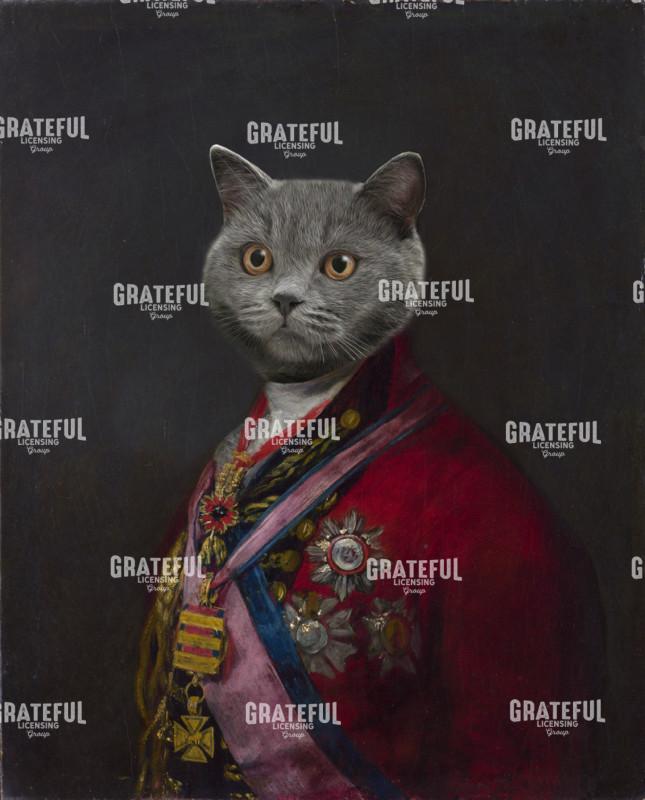 Duke Wiemerhimer Cat