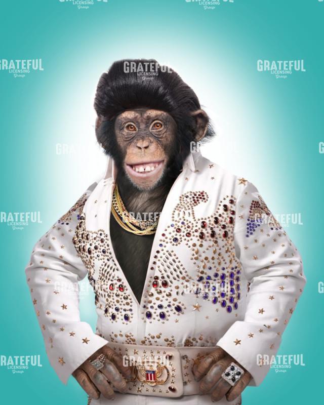 Elvis monkey