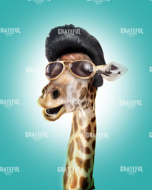 Giraffe Elvis