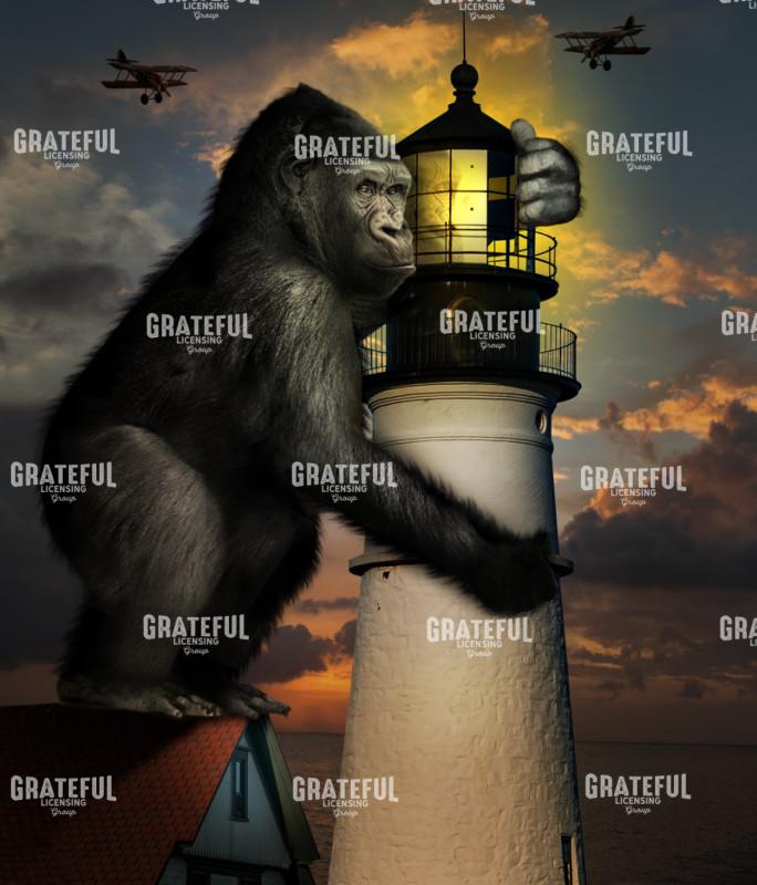 Kong at Portland Maine