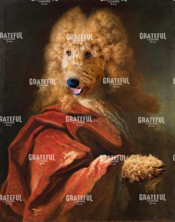 Labradoodle