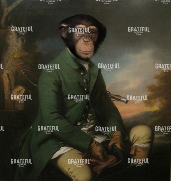 Monkey gentleman