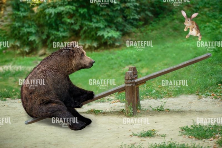 See Saw
