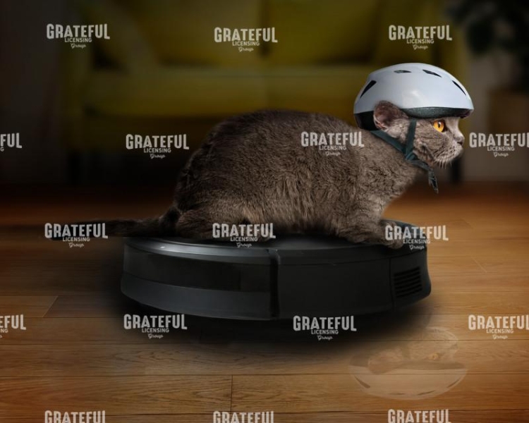 Vacuum