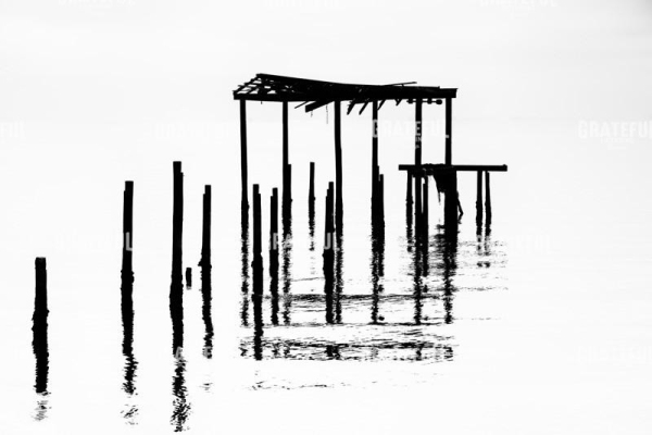 Undisclosed