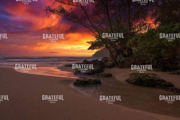 Beach Brilliance