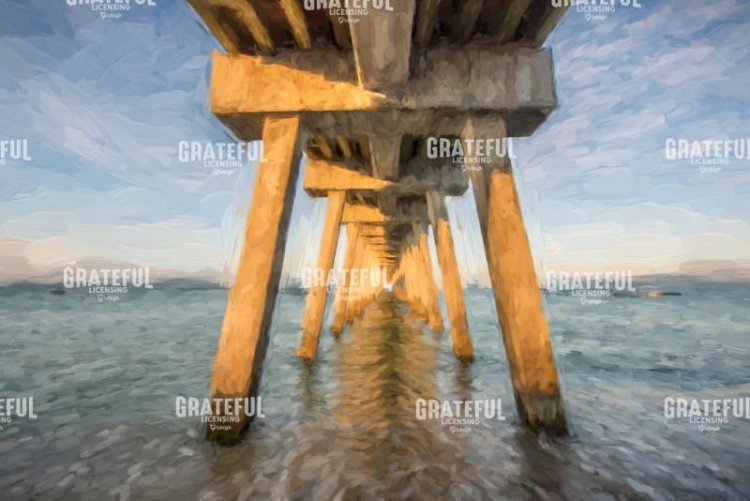 Venice Below the Pier