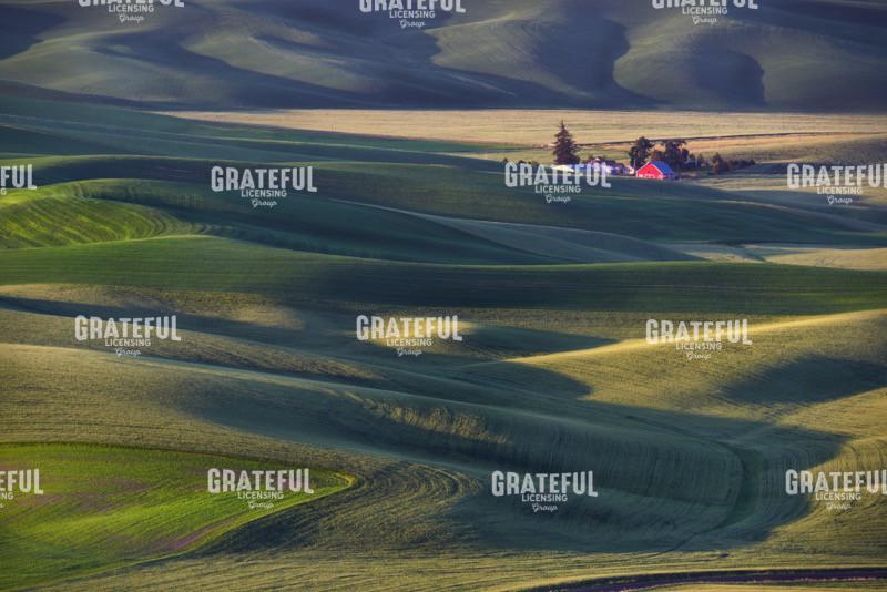 Isolated Barn in the Palouse
