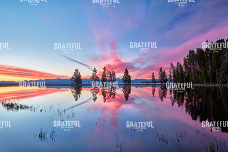 Gull Point at Sunrise