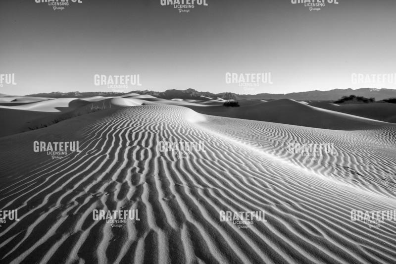 Waves in the Distance