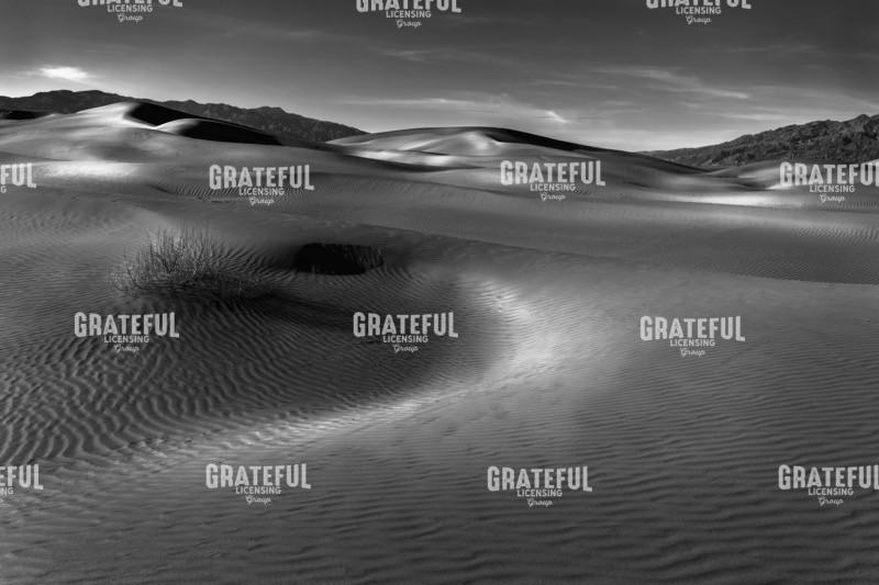 Death Valley Contours