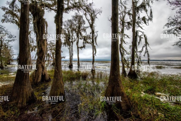 Nature's Bath