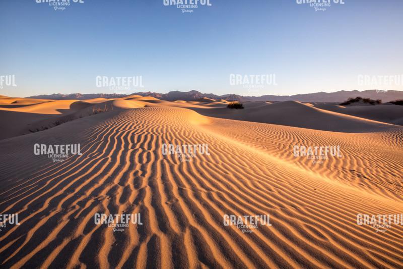 Waves in the Distance