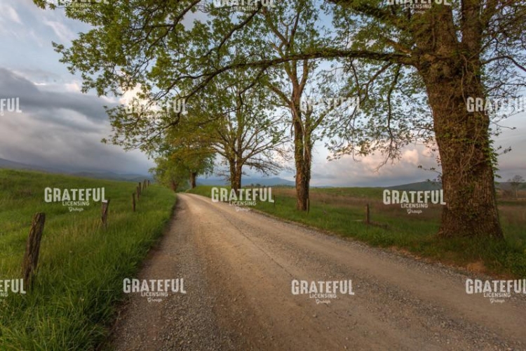 Road Not Traveled