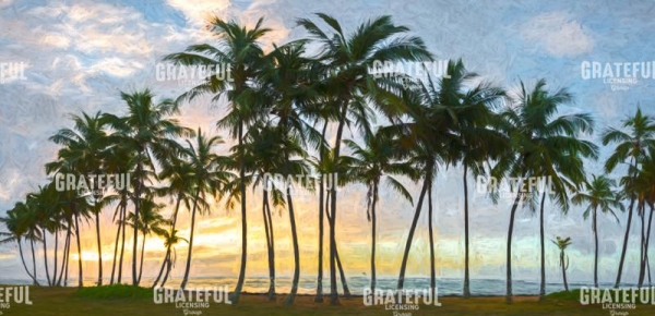 Palms of Kauai