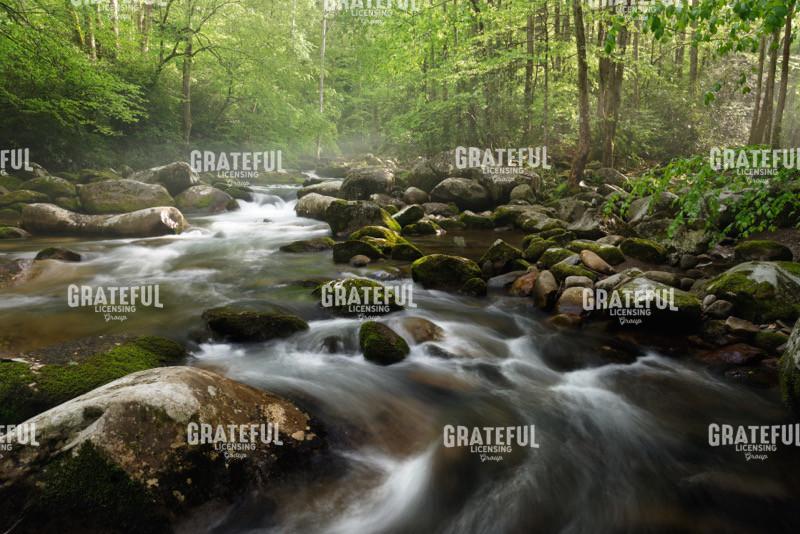 S Curve in the Smokeys