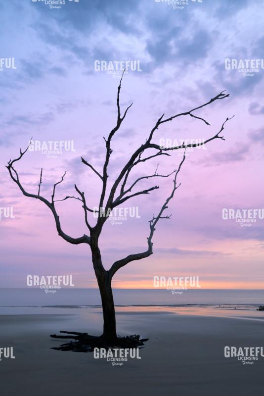 Dawn on Jekyll Island