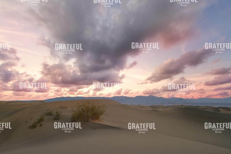 Sunrise on the Dunes