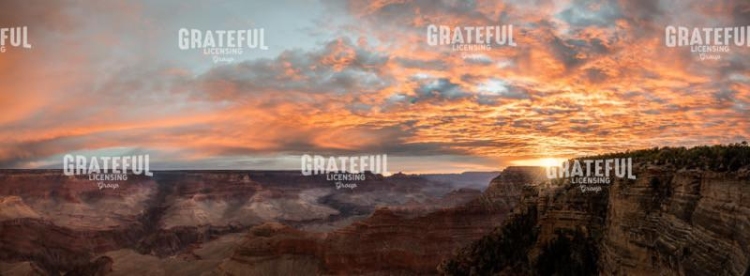 Grand Color in the Canyon