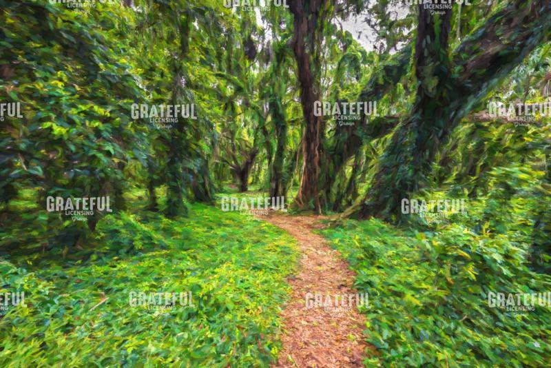 Pass Thru the Forest II