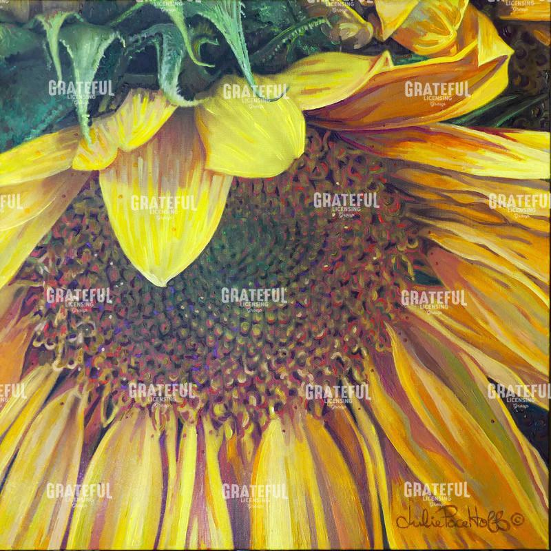 Sunflower 1