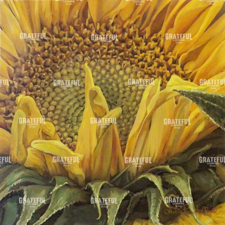 Sunflower 2