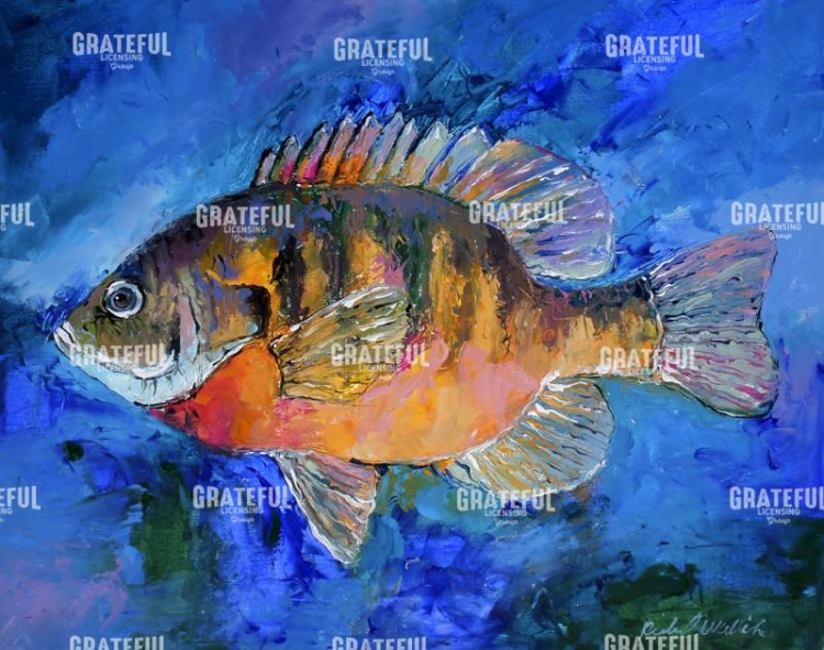 Bluegill