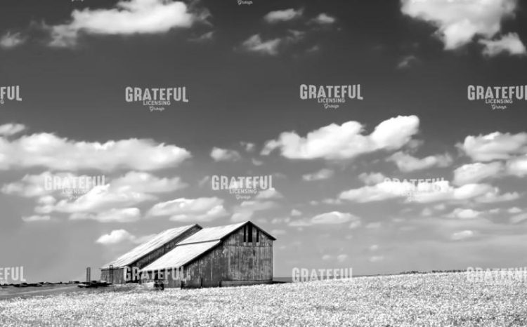 Grassland Barn