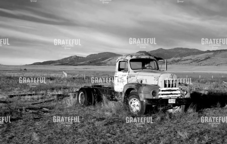 Out to Pasture 2