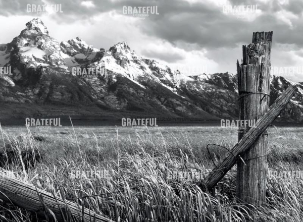Mountain Post
