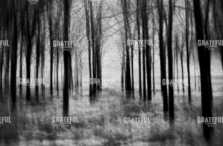 The Gathering