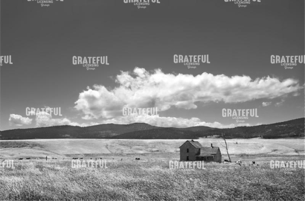Homestead