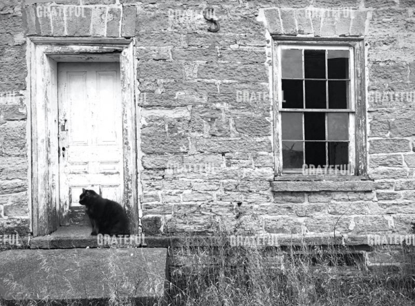 No One Home