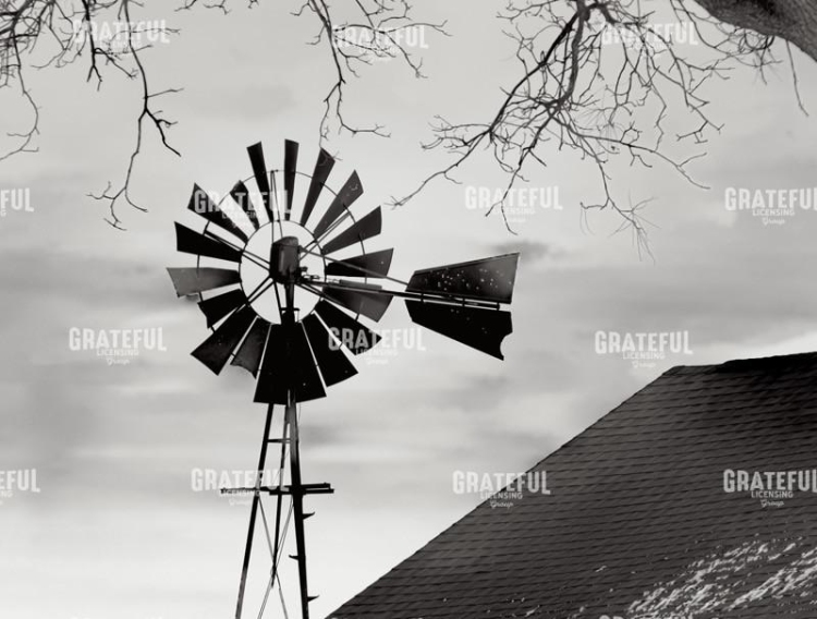 Windmill Close