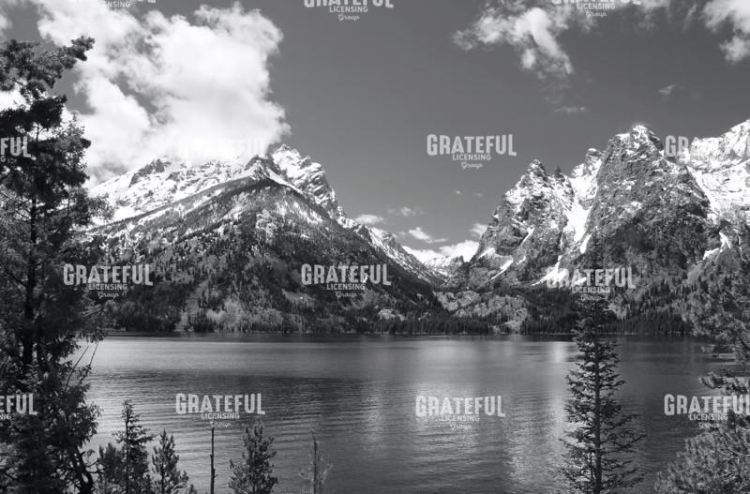 Jenny Lake